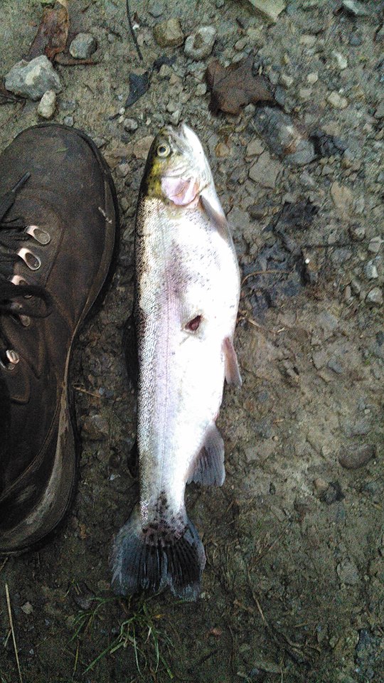 Galleries Fenders Fish Hatchery
